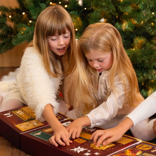 Calendar advent Grizly