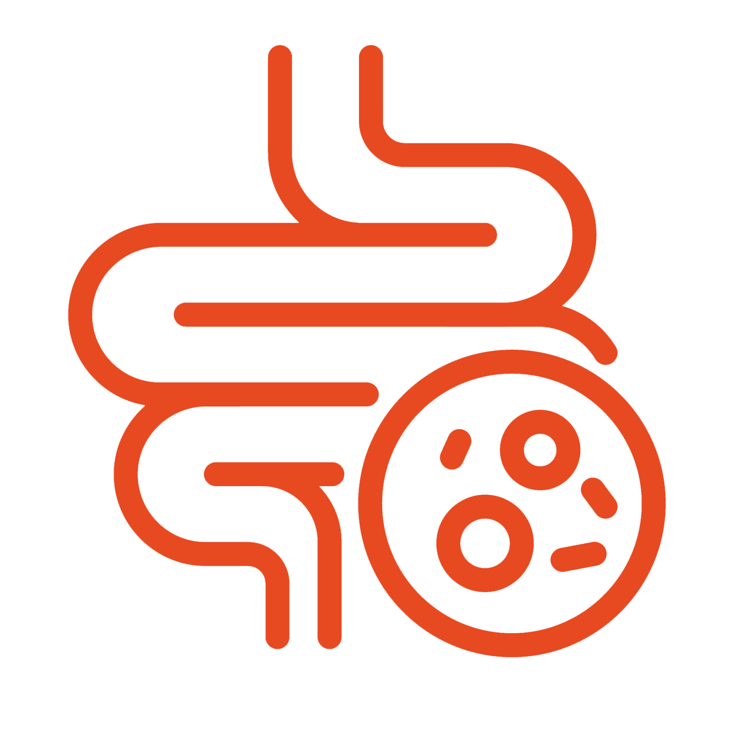 Fibre