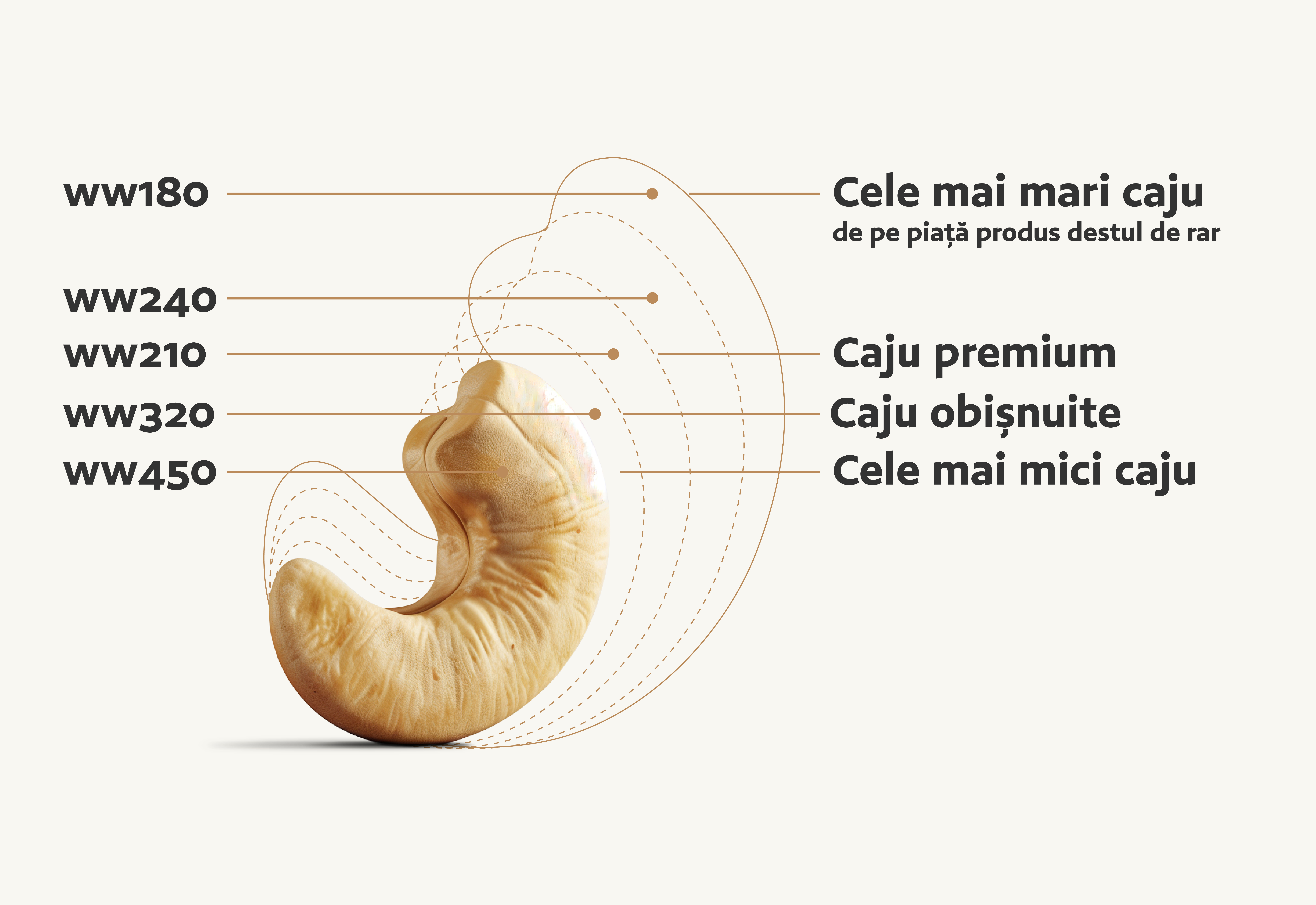 Rețetă cu caju