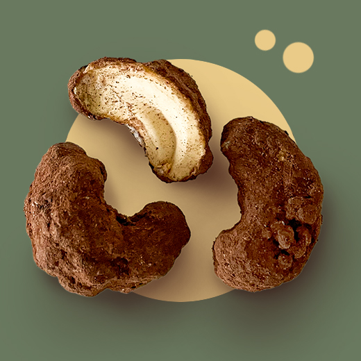 Caju caramelizat cu cacao