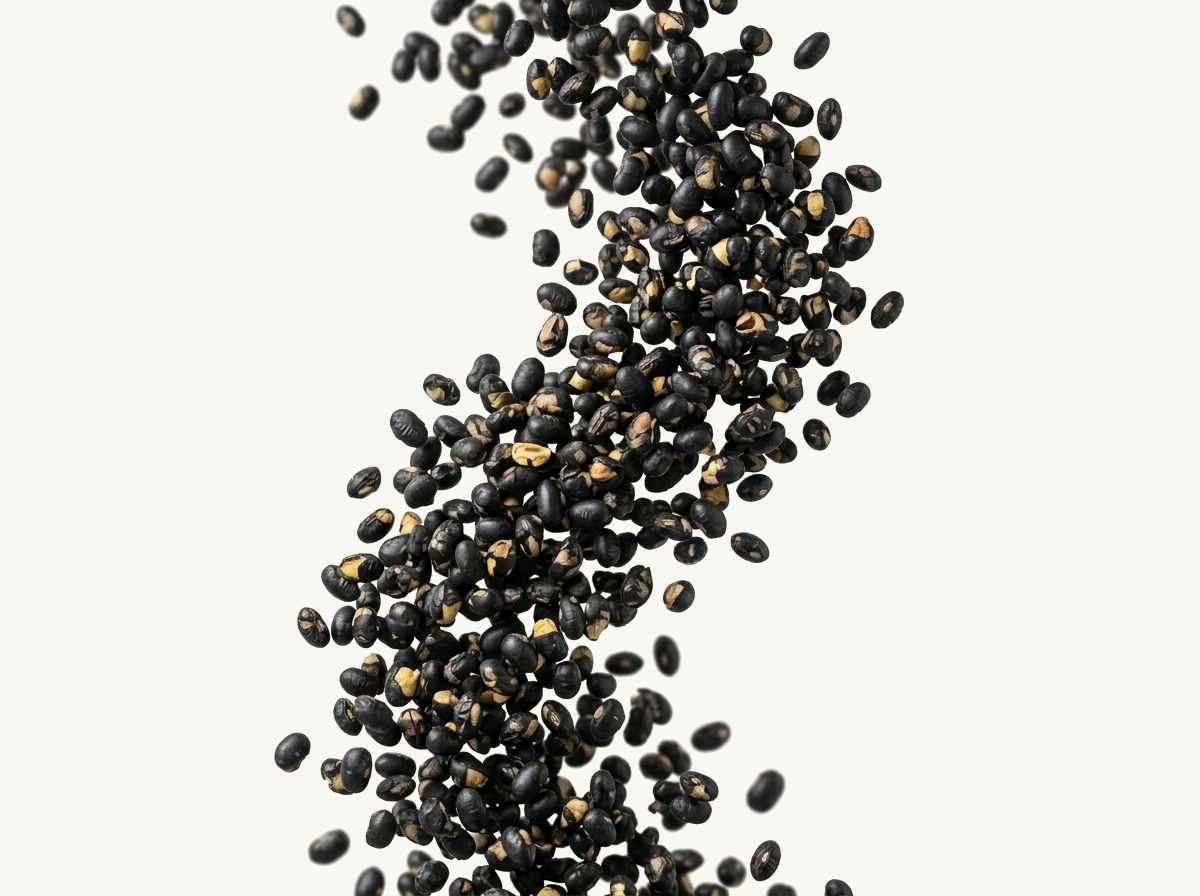 boabe negre prăjite