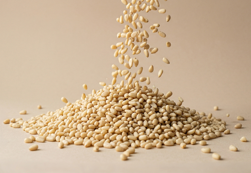 Ketchupos üveg és paradicsomok