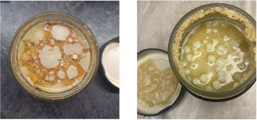 Depunere de grăsime nu e mucegai - unturi de nuci Grizly