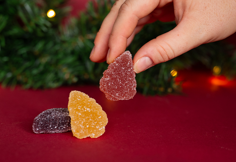 Jeleuri de fructe glazurate în ciocolată GRIZLY