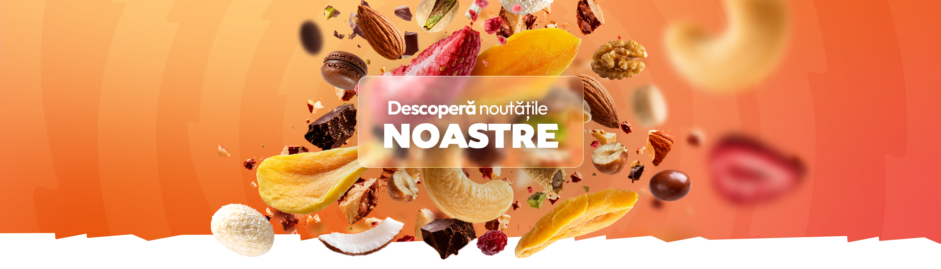 Descoperă noutățile noastre