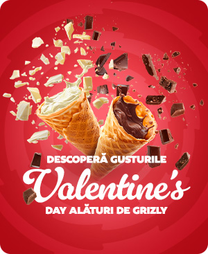 Grizly banner