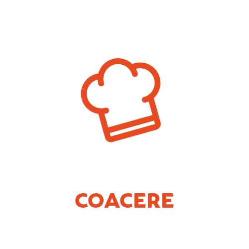 Ideală pentru coacere Grizly