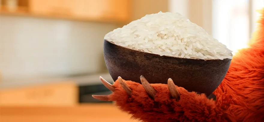 Cum alegi orezul potrivit? Grizly te sfătuiește