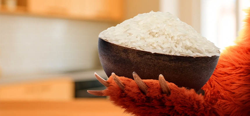 Cum alegi orezul potrivit? Grizly te sfătuiește