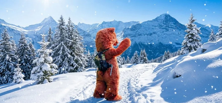 Ce să iei cu tine la munte? Sfaturi practice pentru gustări și mâncare sănătoasă la drumeții