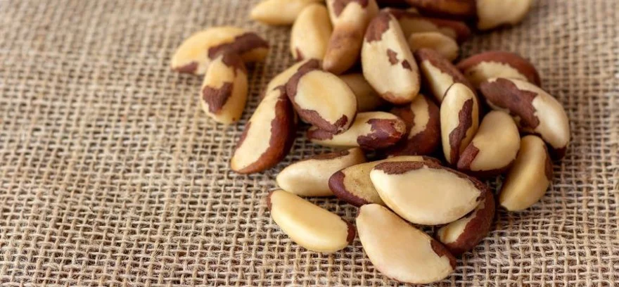 Cum arată supradozajul cu nuci de Brazilia și cum să-l eviți