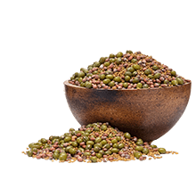 Semințe pentru germinare