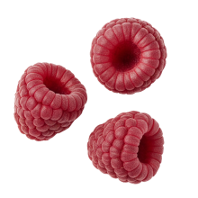 Zmeură