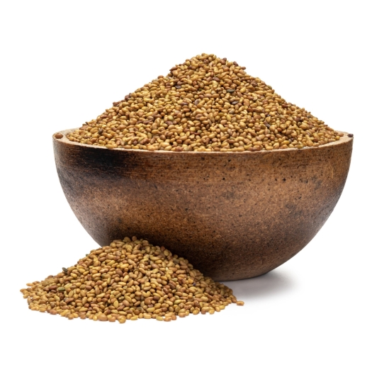 Alfalfa BIO semințe pentru germinare