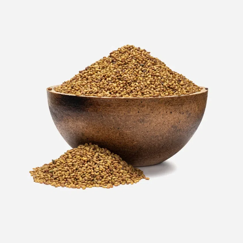 Alfalfa BIO semințe pentru germinare
