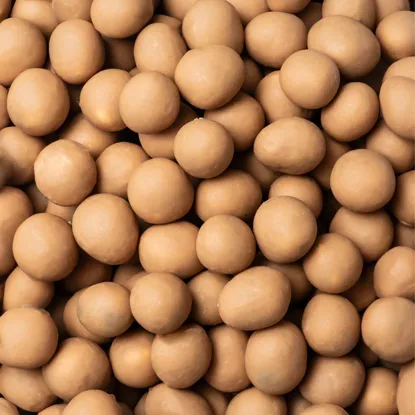 Alune de pădure Skinny Dipped în caramel sărat