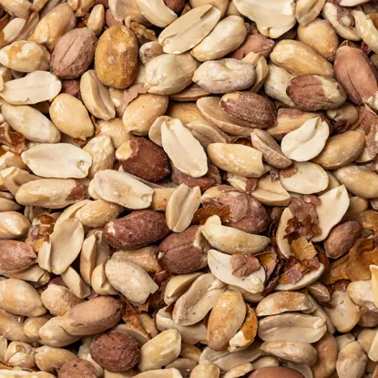 Arahide în coajă prăjite și sărate