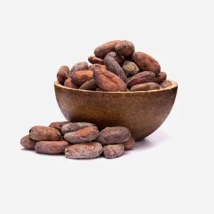 Boabe de cacao neprăjite