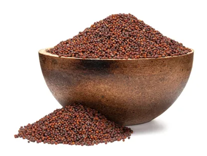 Broccoli BIO semințe pentru germinare