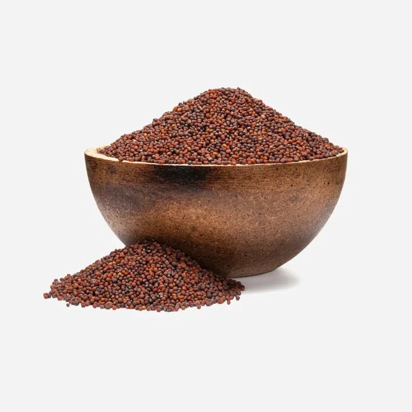 Broccoli BIO semințe pentru germinare