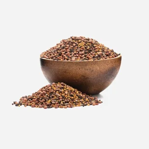 Broccoli, ridiche, trifoi BIO mix de semințe pentru germinare