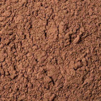 Cacao alcalinizată
