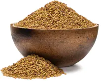 GRIZLY Alfalfa BIO semințe pentru germinare 250 g