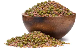 GRIZLY Fasole mungo, alfalfa, ridiche BIO mix de semințe pentru germinare 250 g