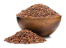 GRIZLY Mix de trei tipuri de ridichi BIO semințe pentru germinare 250g