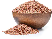 GRIZLY Ridiche BIO semințe pentru germinare 250 g