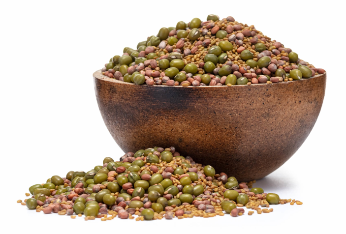 Fasole mungo, alfalfa, ridiche BIO mix de semințe pentru germinare
