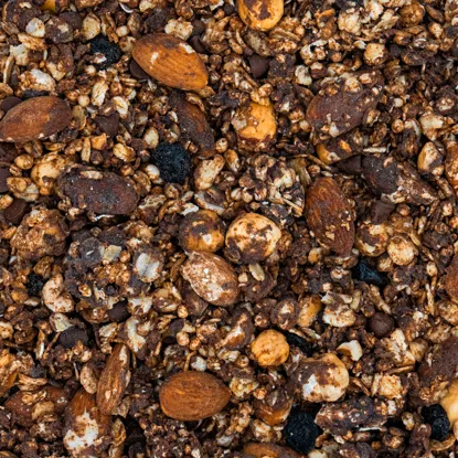 Granola cu ciocolată amară și afine.