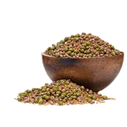 Semințe pentru germinare