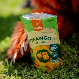 Mango uscat exclusiv