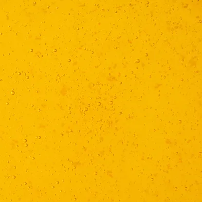 Miere de flori cehească