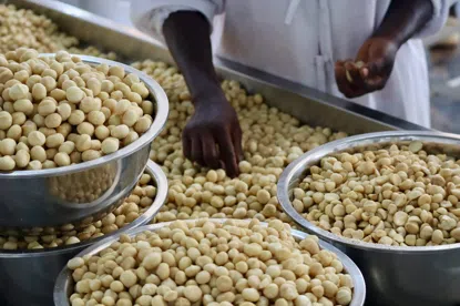 Nuci de macadamia jumătăți