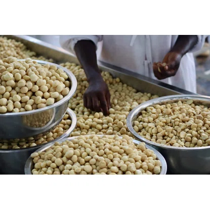 Nuci de macadamia jumătăți