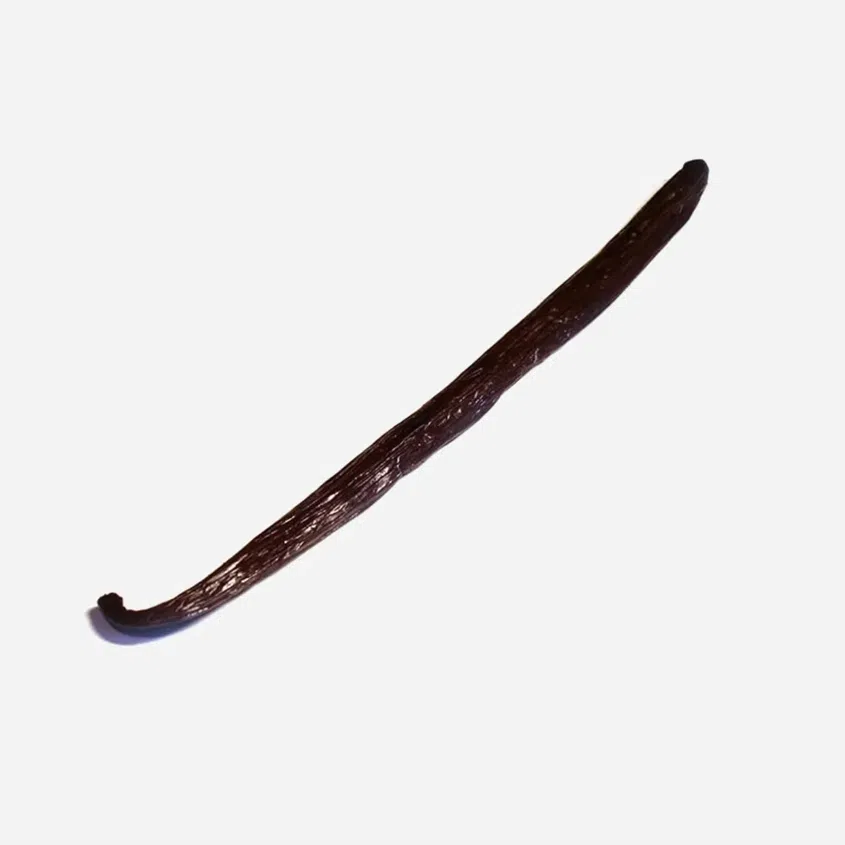 Păstăi de vanilie Bourbon BIO 1 buc.