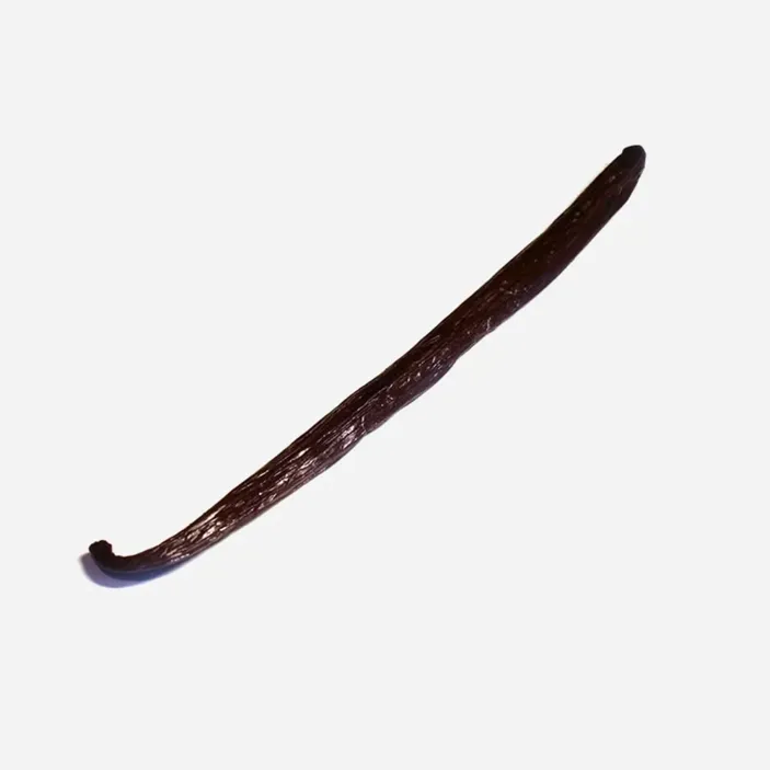 Păstăi de vanilie Bourbon BIO 1 buc.