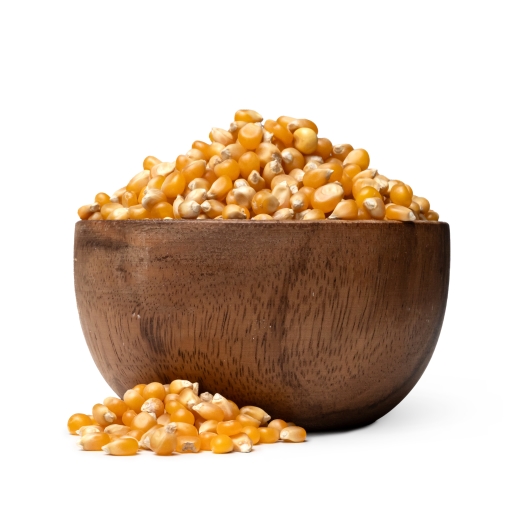 Porumb pentru popcorn