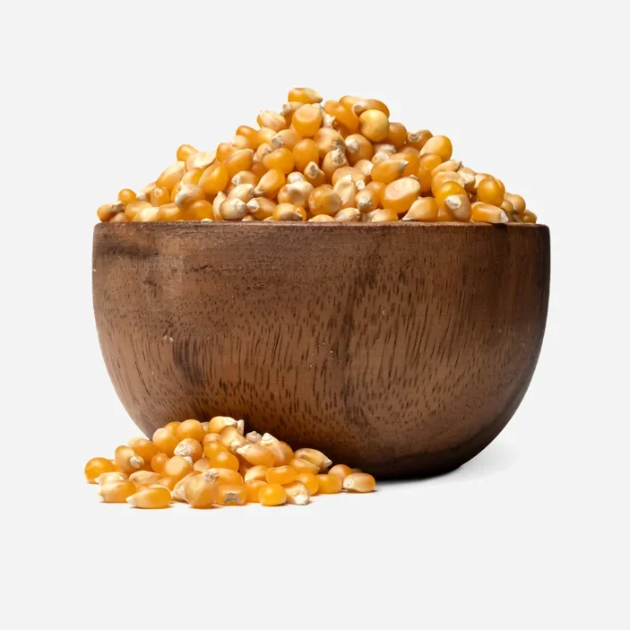 Porumb pentru popcorn
