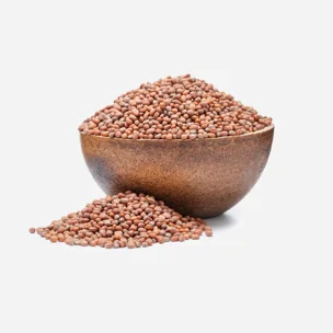 Ridiche BIO semințe pentru germinare