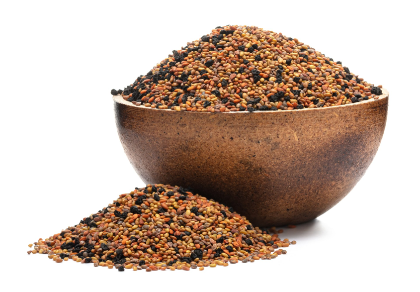 Semințe pentru germinare Mix Allegro BIO