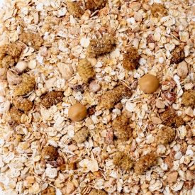 Terci de ovăz caramel & dud alb
