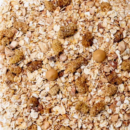 Terci de ovăz caramel & dud alb