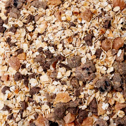 Terci de ovăz cu ciocolată neagră & alune de pădure 6 x 60 g