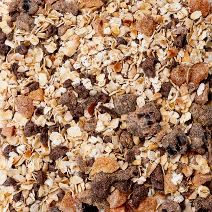 Terci de ovăz cu ciocolată neagră & alune de pădure