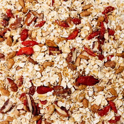 Terci de ovăz cu nuci & semințe